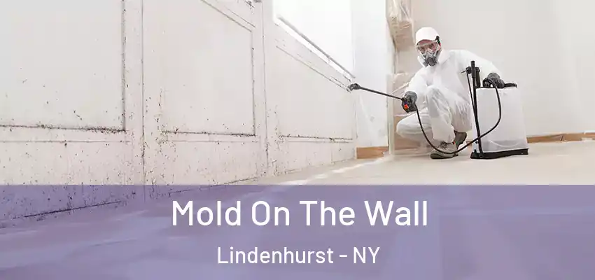 Mold On The Wall Lindenhurst - NY