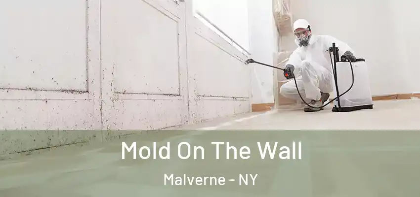 Mold On The Wall Malverne - NY
