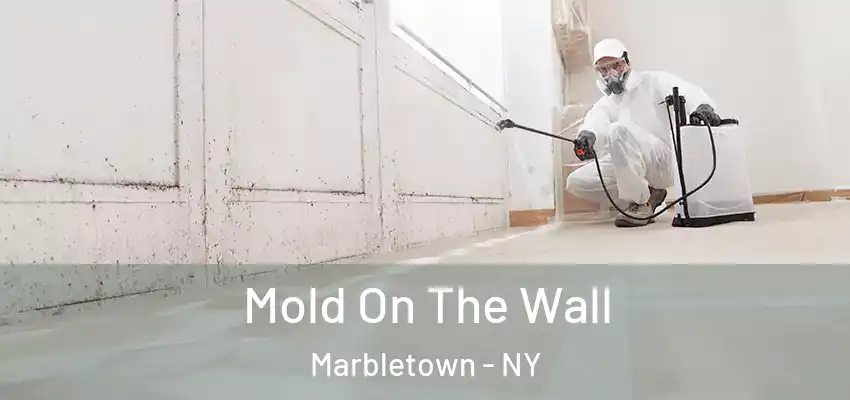 Mold On The Wall Marbletown - NY