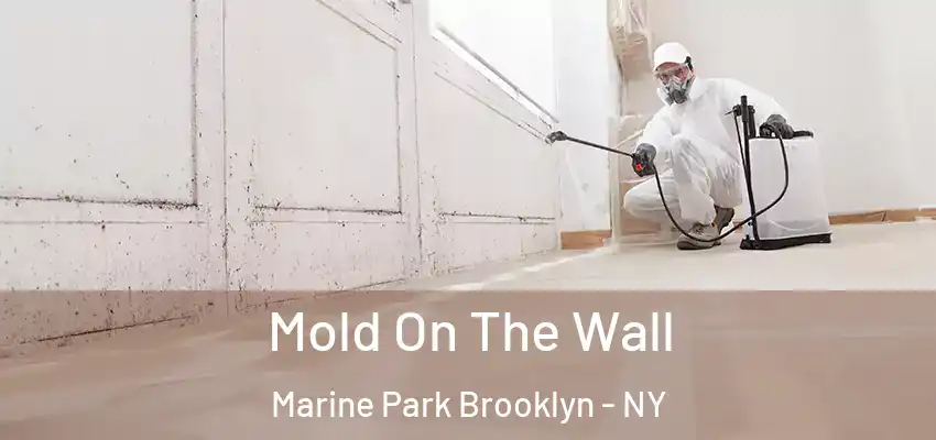  Mold On The Wall Marine Park Brooklyn - NY