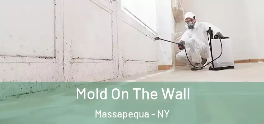 Mold On The Wall Massapequa - NY