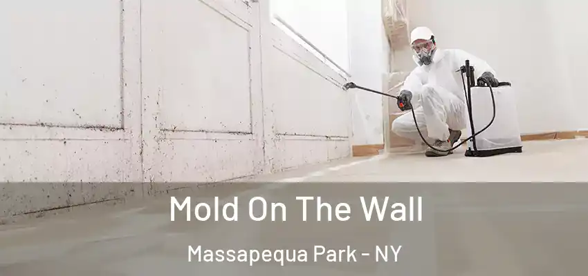  Mold On The Wall Massapequa Park - NY