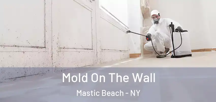 Mold On The Wall Mastic Beach - NY