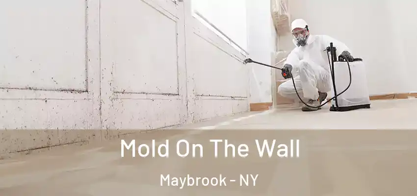 Mold On The Wall Maybrook - NY
