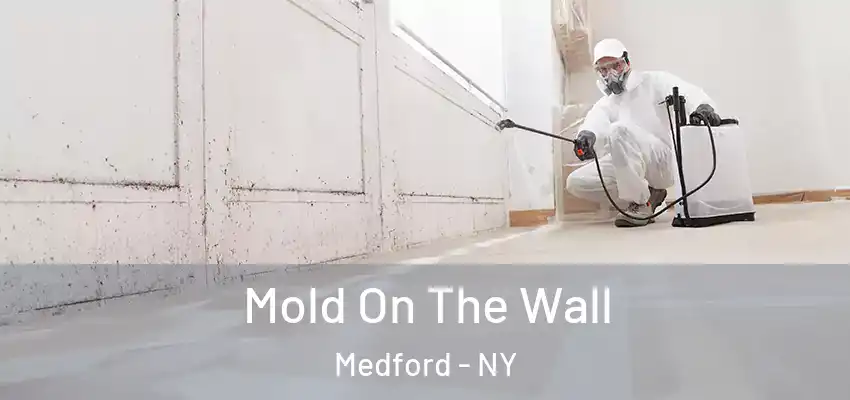  Mold On The Wall Medford - NY