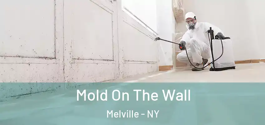  Mold On The Wall Melville - NY