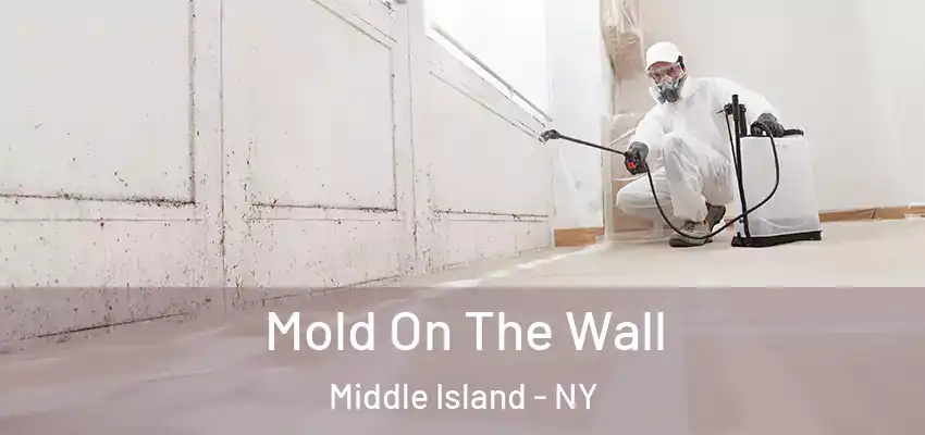  Mold On The Wall Middle Island - NY