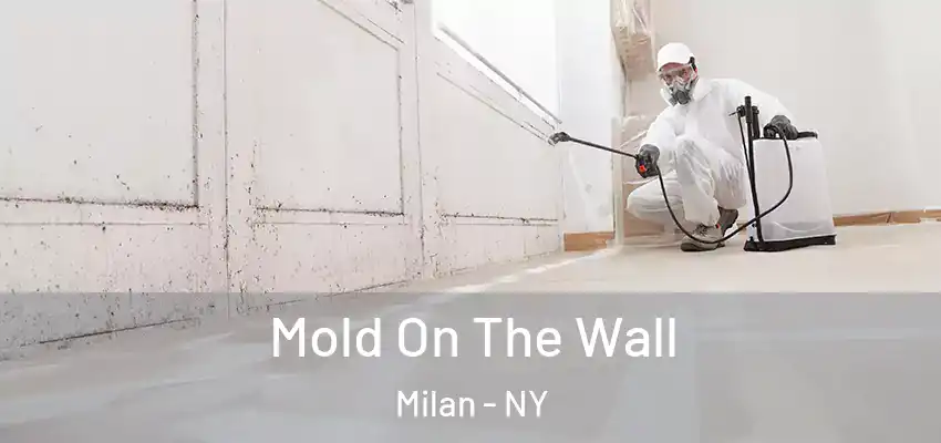  Mold On The Wall Milan - NY
