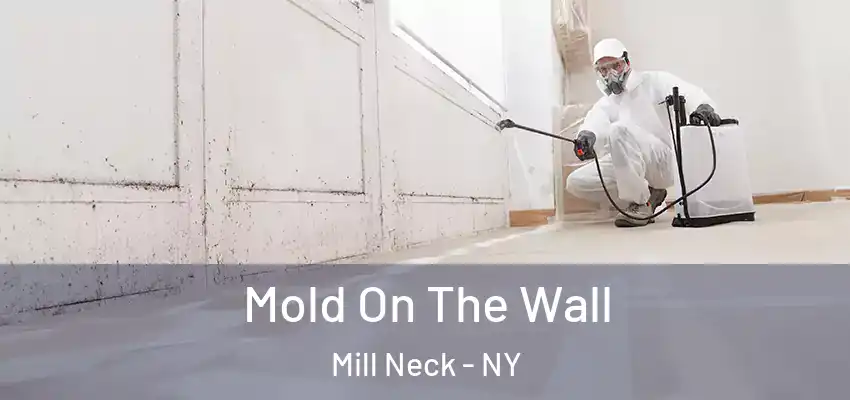 Mold On The Wall Mill Neck - NY