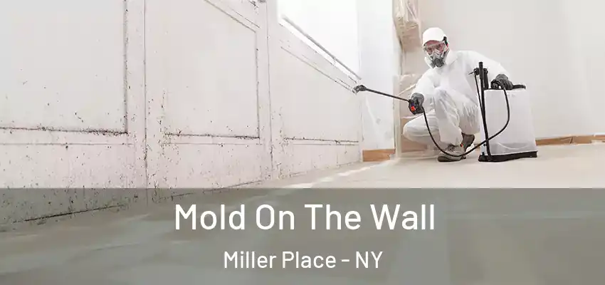  Mold On The Wall Miller Place - NY