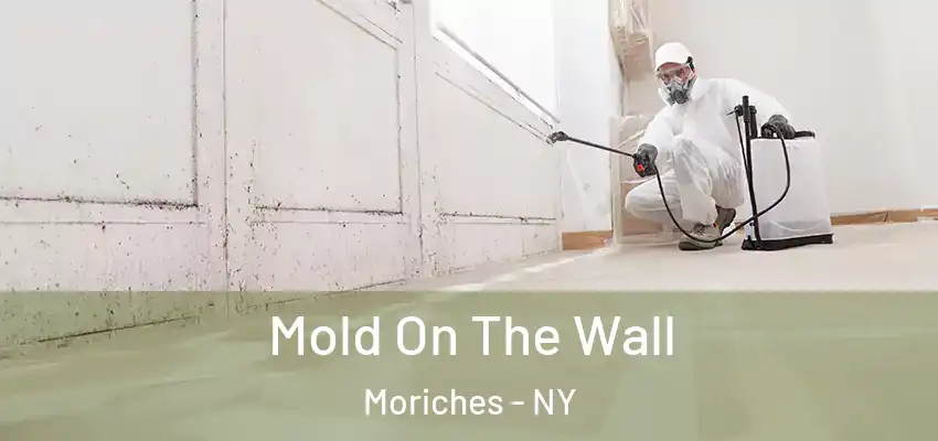 Mold On The Wall Moriches - NY