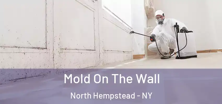  Mold On The Wall North Hempstead - NY