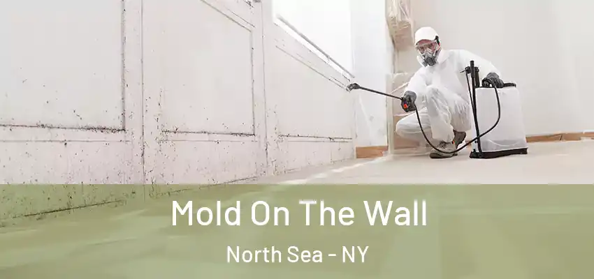  Mold On The Wall North Sea - NY