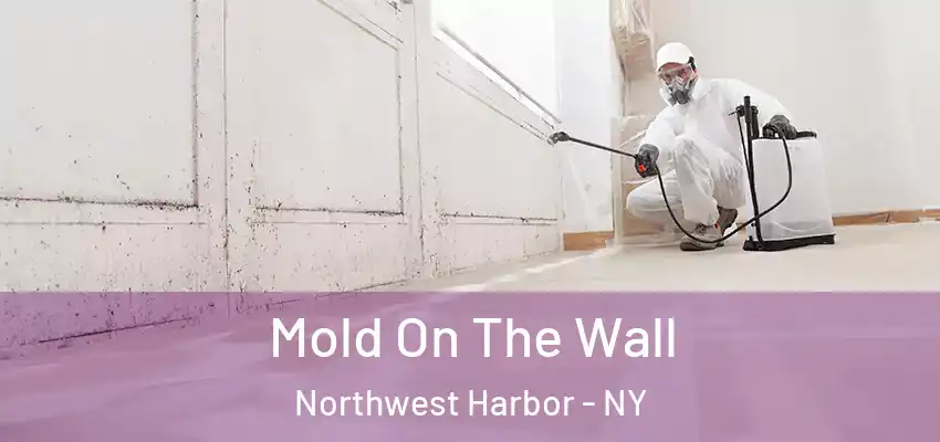  Mold On The Wall Northwest Harbor - NY