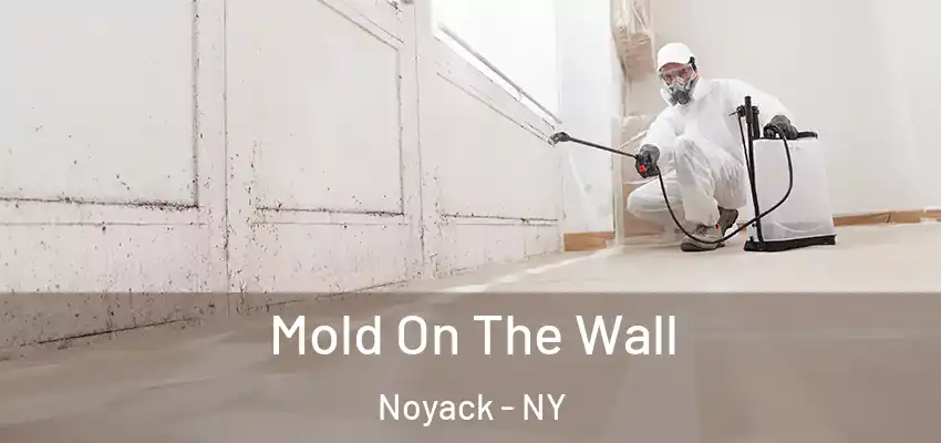  Mold On The Wall Noyack - NY