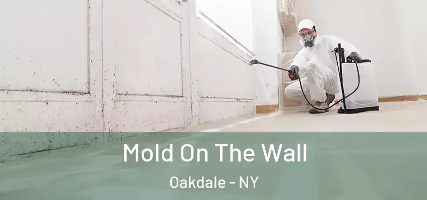  Mold On The Wall Oakdale - NY
