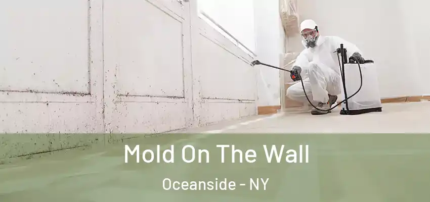 Mold On The Wall Oceanside - NY