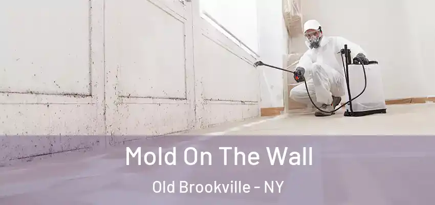  Mold On The Wall Old Brookville - NY