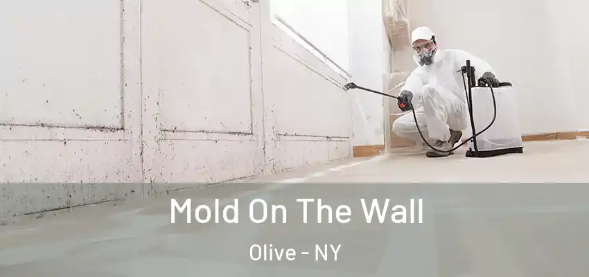 Mold On The Wall Olive - NY