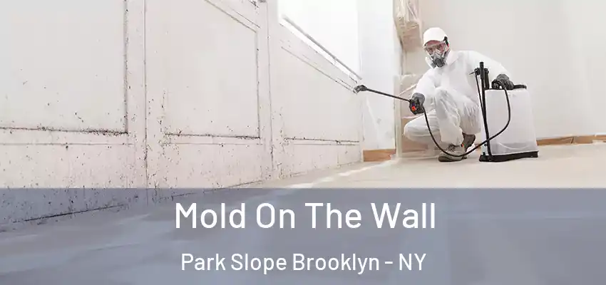  Mold On The Wall Park Slope Brooklyn - NY