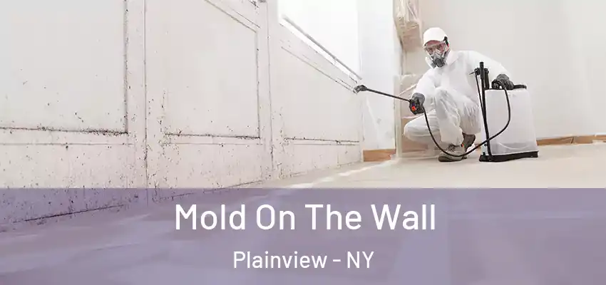  Mold On The Wall Plainview - NY