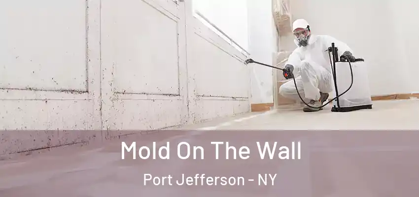  Mold On The Wall Port Jefferson - NY