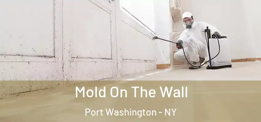  Mold On The Wall Port Washington - NY