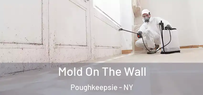 Mold On The Wall Poughkeepsie - NY