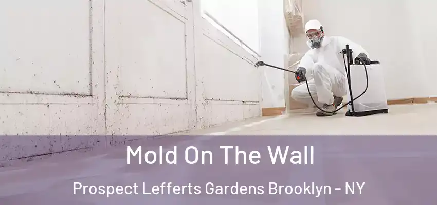  Mold On The Wall Prospect Lefferts Gardens Brooklyn - NY