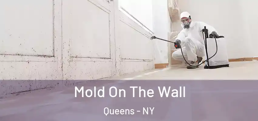 Mold On The Wall Queens - NY