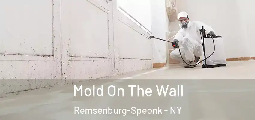  Mold On The Wall Remsenburg-Speonk - NY