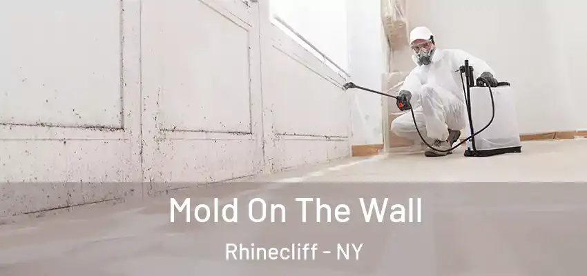  Mold On The Wall Rhinecliff - NY