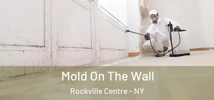  Mold On The Wall Rockville Centre - NY