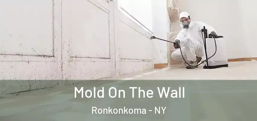  Mold On The Wall Ronkonkoma - NY