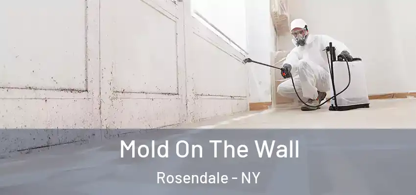 Mold On The Wall Rosendale - NY