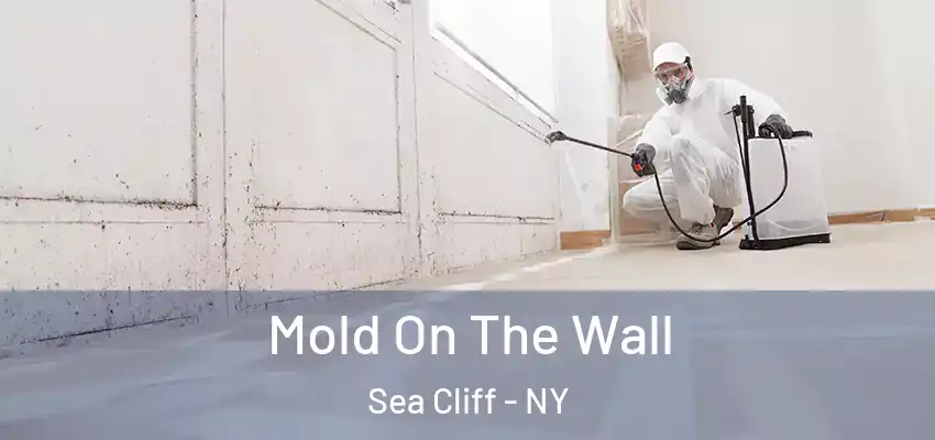  Mold On The Wall Sea Cliff - NY