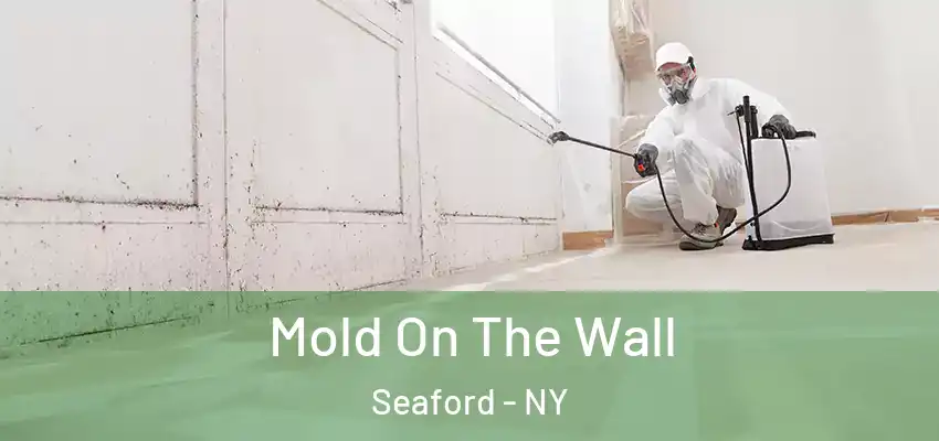  Mold On The Wall Seaford - NY