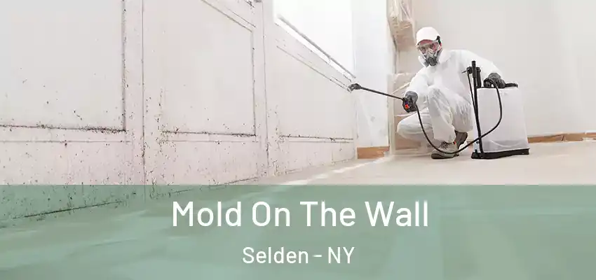  Mold On The Wall Selden - NY