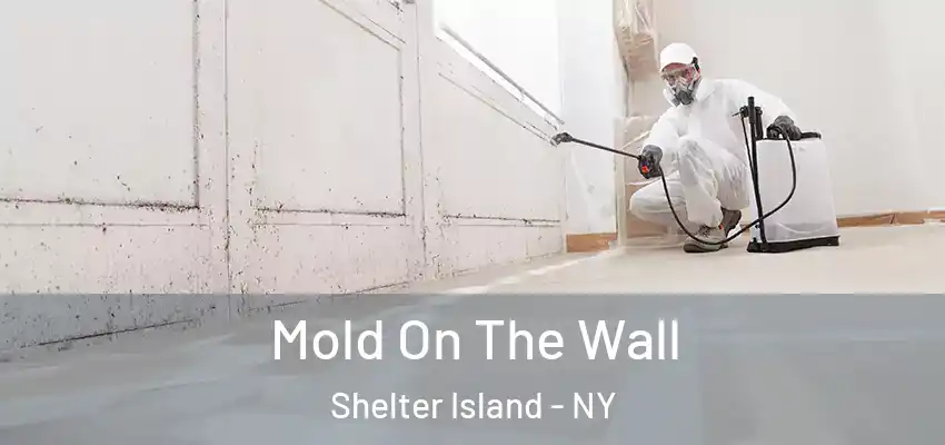 Mold On The Wall Shelter Island - NY