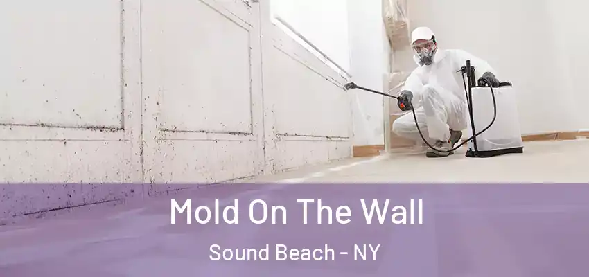  Mold On The Wall Sound Beach - NY