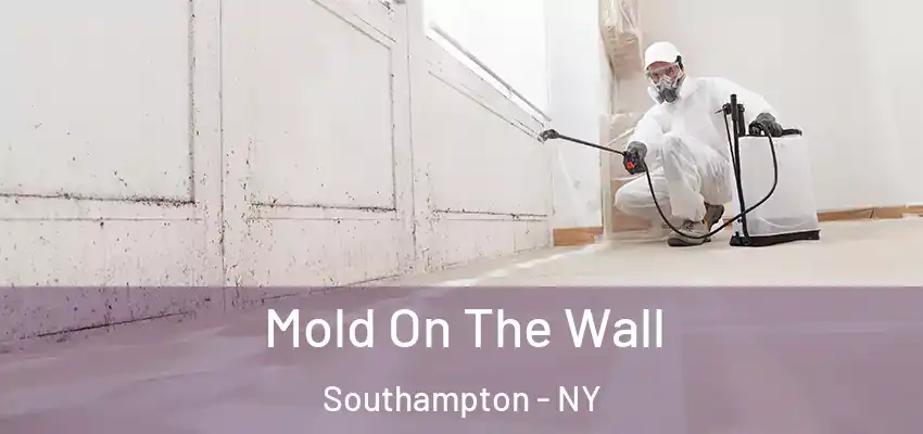Mold On The Wall Southampton - NY