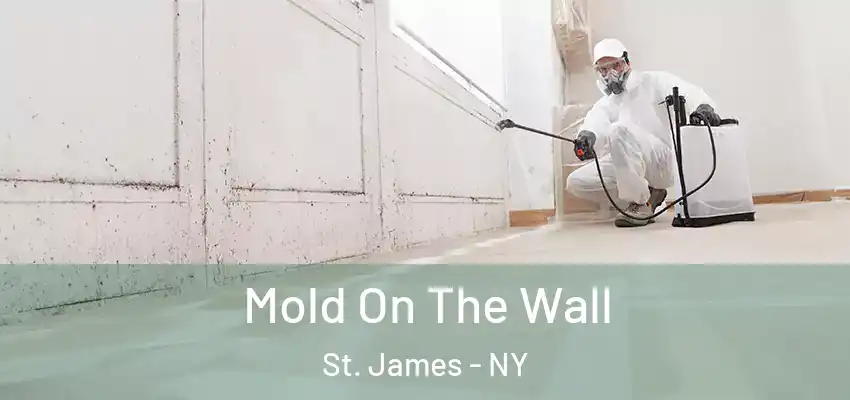 Mold On The Wall St. James - NY