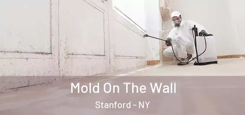 Mold On The Wall Stanford - NY