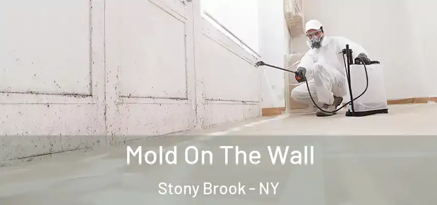 Mold On The Wall Stony Brook - NY