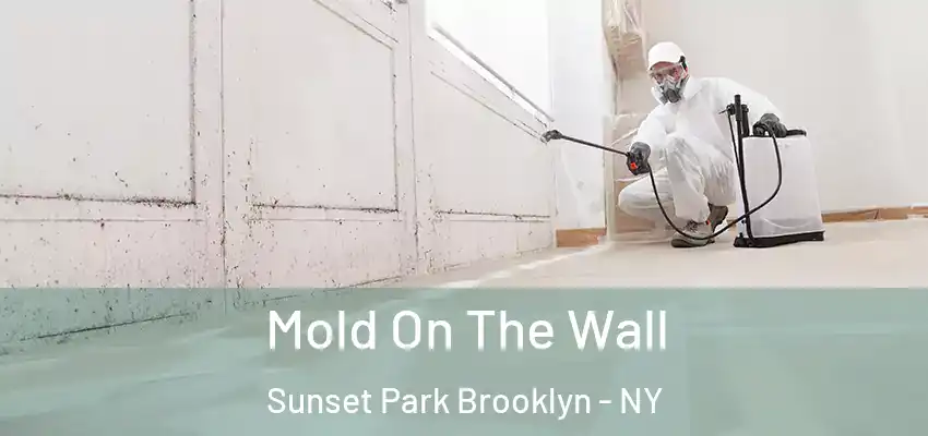  Mold On The Wall Sunset Park Brooklyn - NY