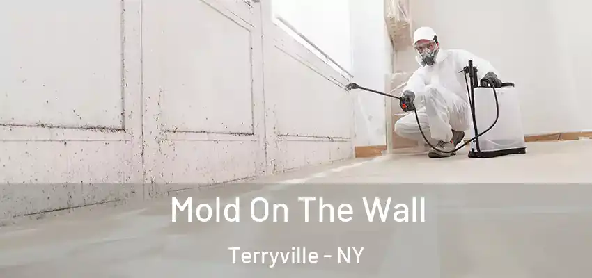  Mold On The Wall Terryville - NY