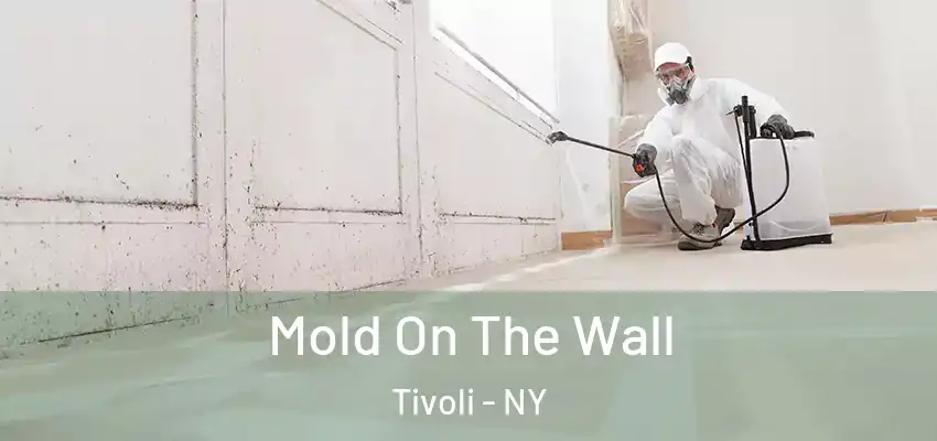  Mold On The Wall Tivoli - NY