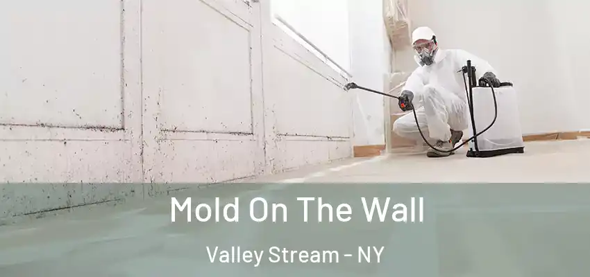 Mold On The Wall Valley Stream - NY