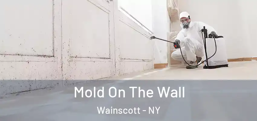 Mold On The Wall Wainscott - NY