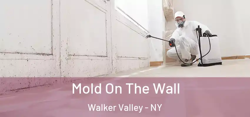 Mold On The Wall Walker Valley - NY